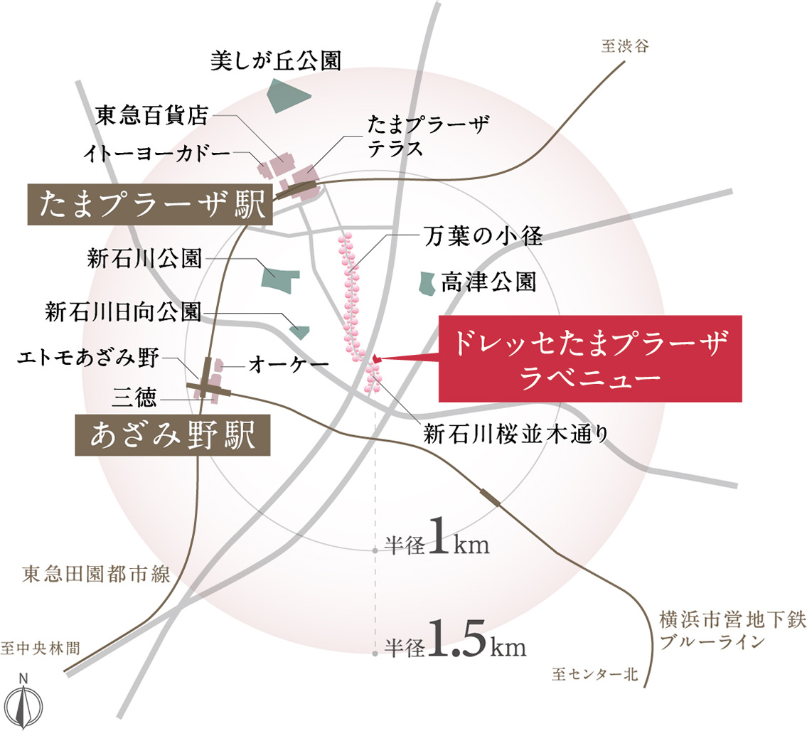 エリア概念図