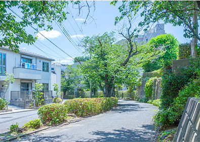 新石川桜並木