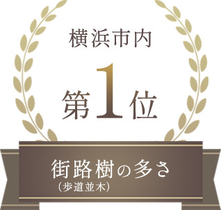 街路樹の多さ（歩道並木） 横浜市内第1位